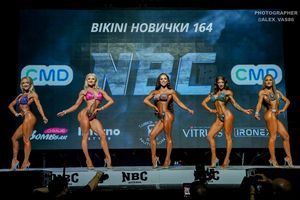 BIKINI НОВИЧКИ 164